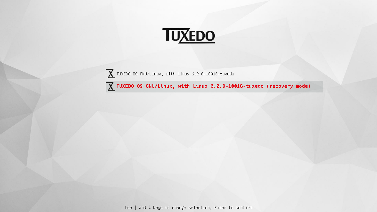 Via the recovery mode you can reach your TUXEDO OS installation even if the system does not boot correctly anymore.
