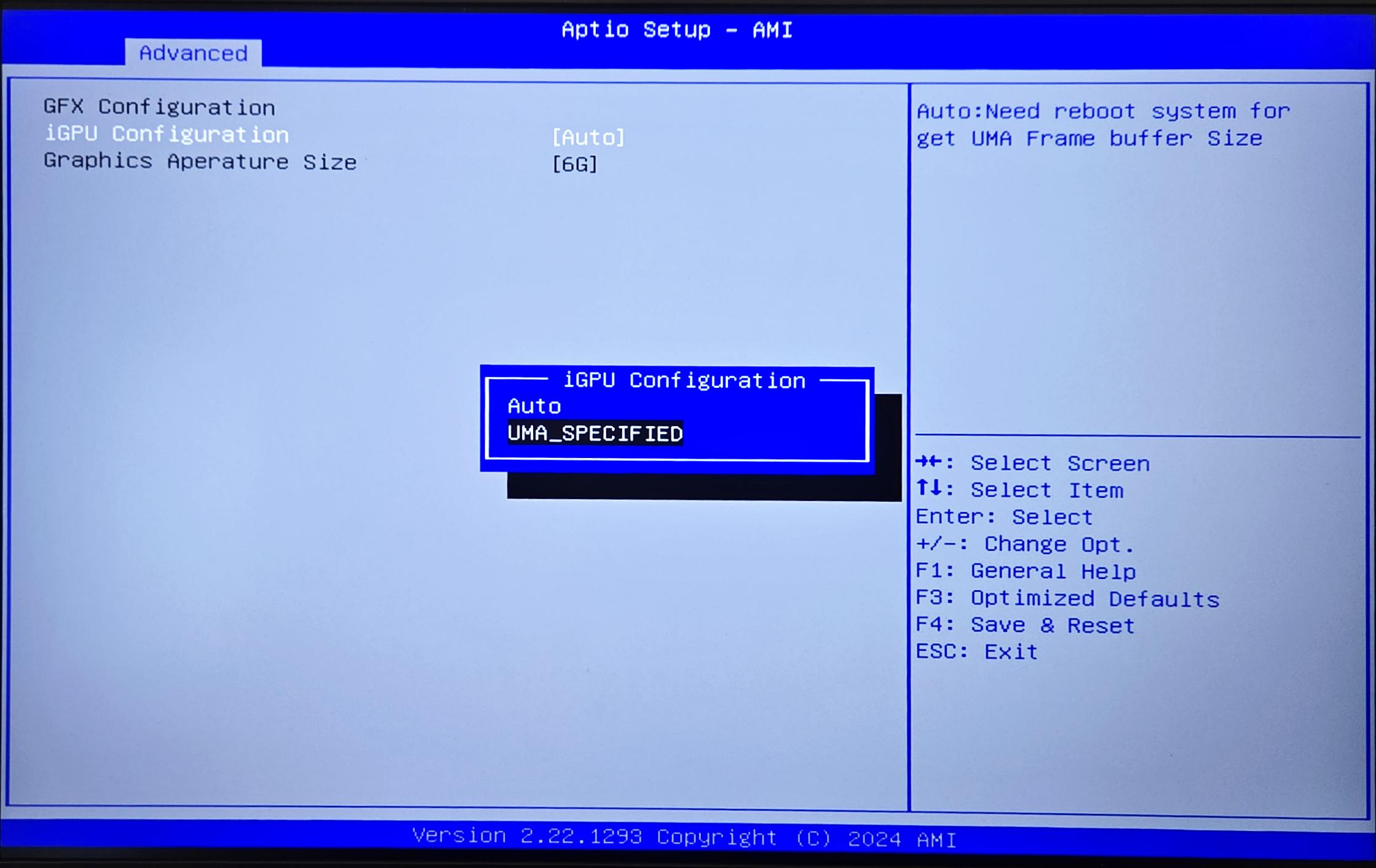 Über die iGPU Configuration im BIOS/UEFI lässt sich der zugewiesene VRAM-Speicher der Grafikkarte anpassen.